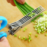 Multifunctional Multi-layer Green Onion